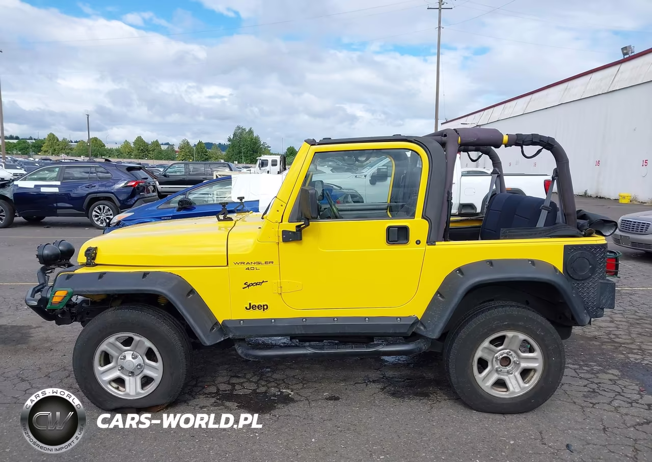 2002 Jeep Wrangler X VIN:1J4FA39S02P759457 - 15