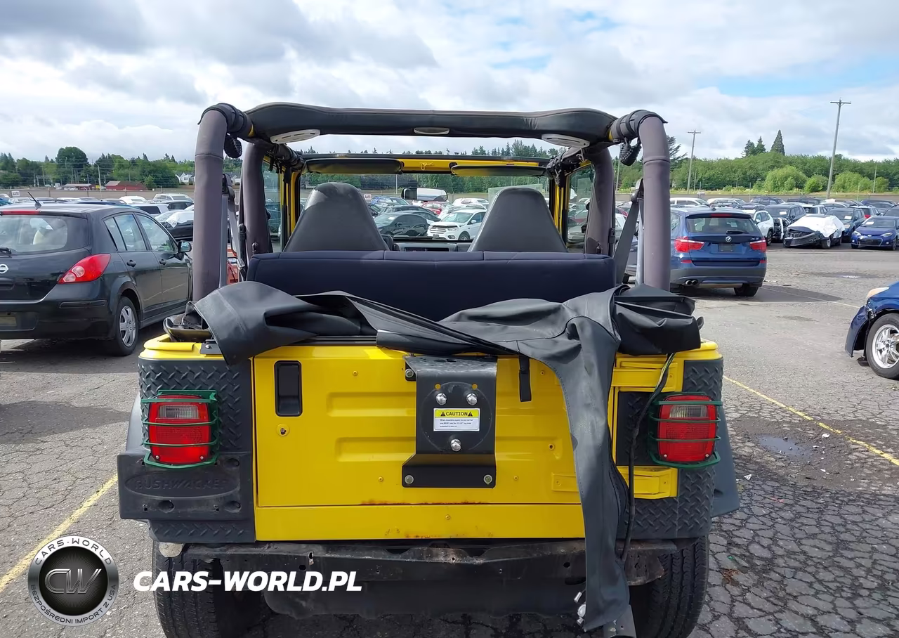 2002 Jeep Wrangler X VIN:1J4FA39S02P759457 - 17