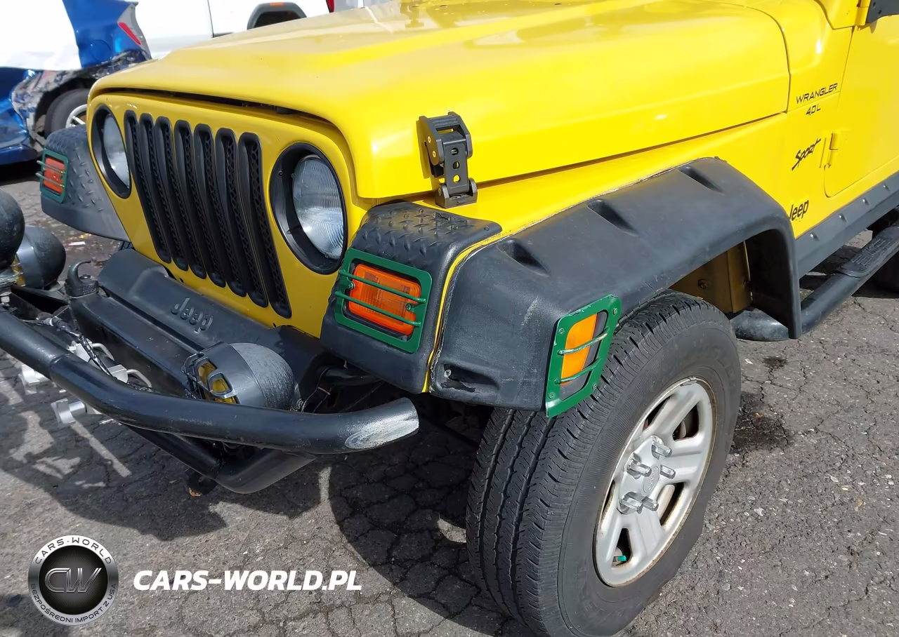 2002 Jeep Wrangler X VIN:1J4FA39S02P759457 - 18