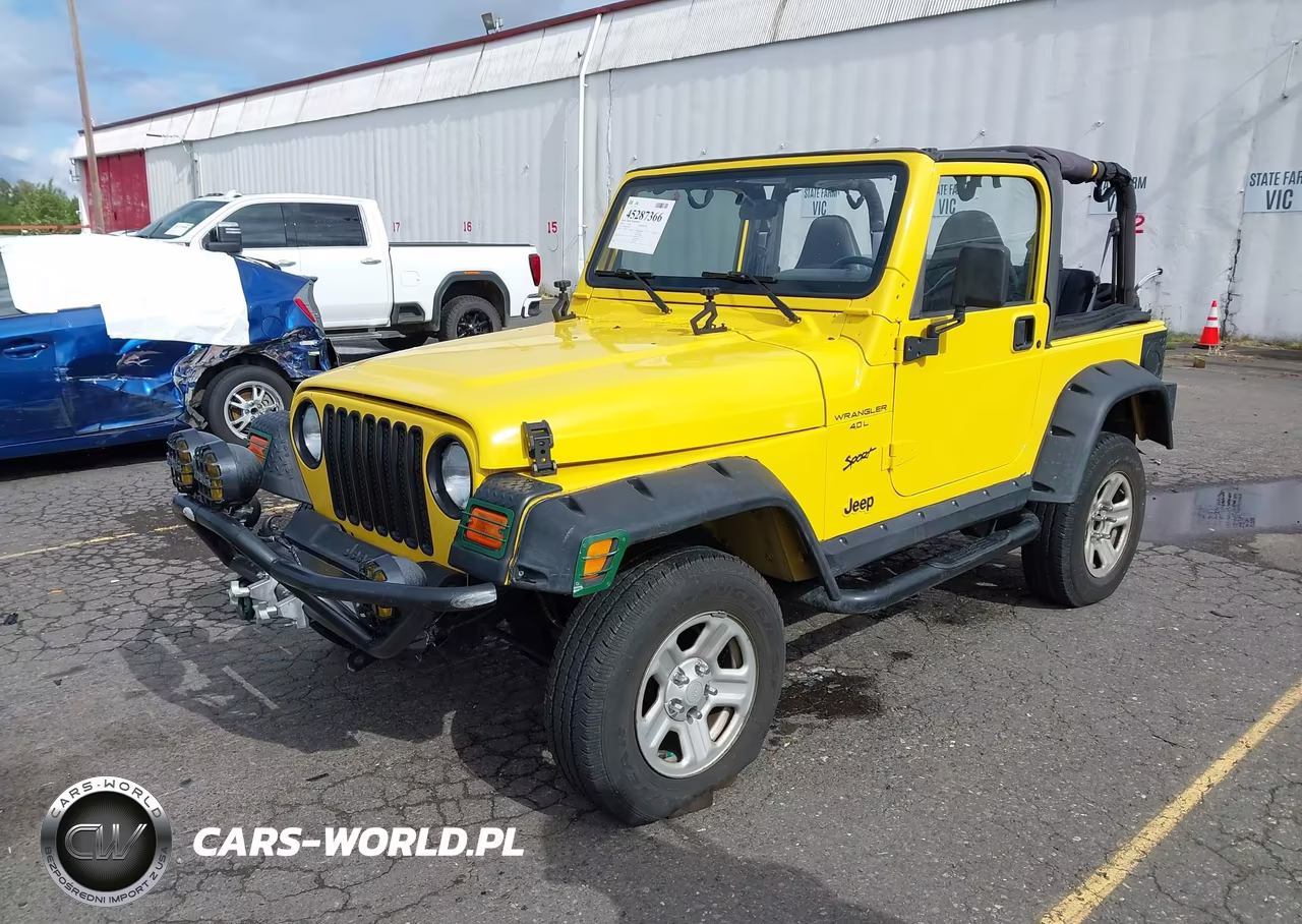 2002 Jeep Wrangler X VIN:1J4FA39S02P759457 - 2