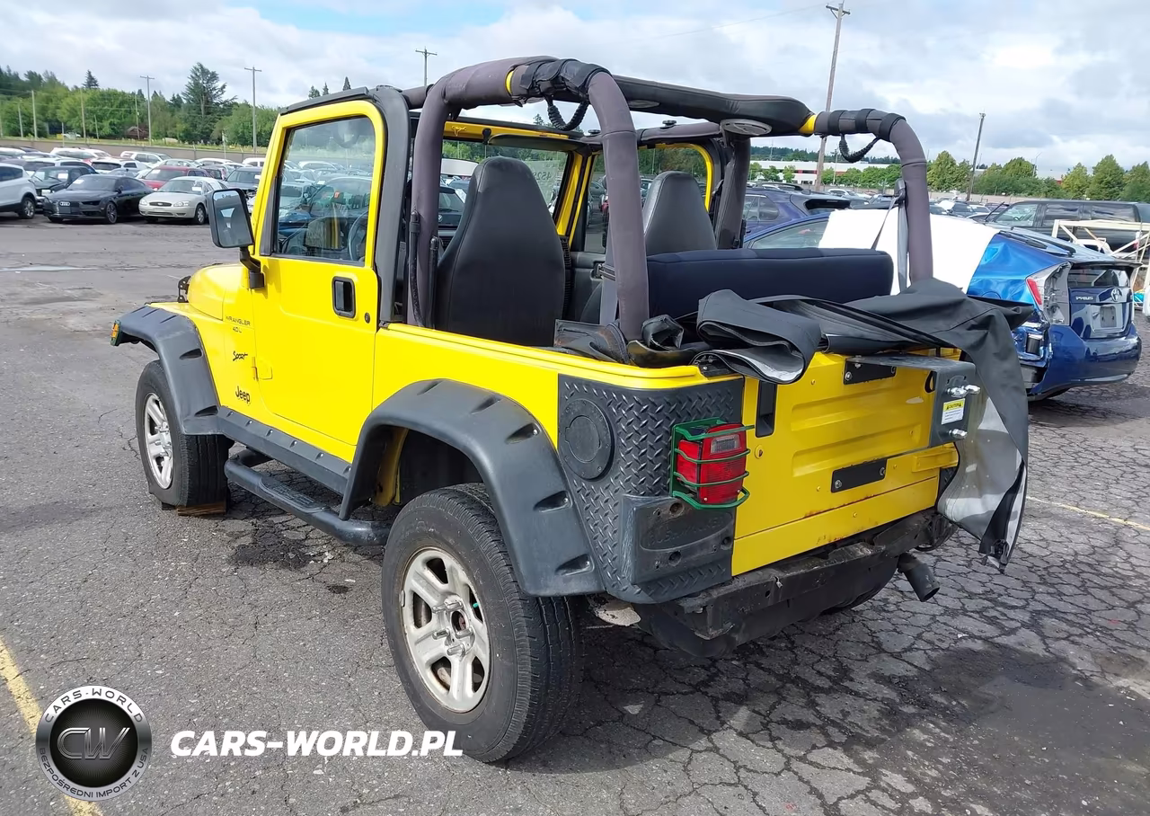 2002 Jeep Wrangler X VIN:1J4FA39S02P759457 - 3