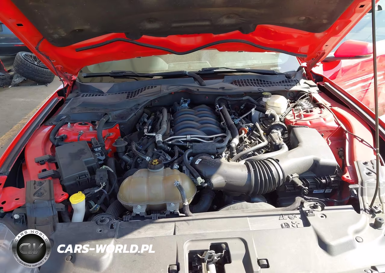 2019 Ford Mustang Gt Premium VIN:1FA6P8CF8K5159218 - 10