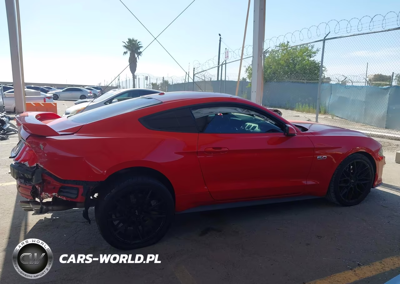 2019 Ford Mustang Gt Premium VIN:1FA6P8CF8K5159218 - 13