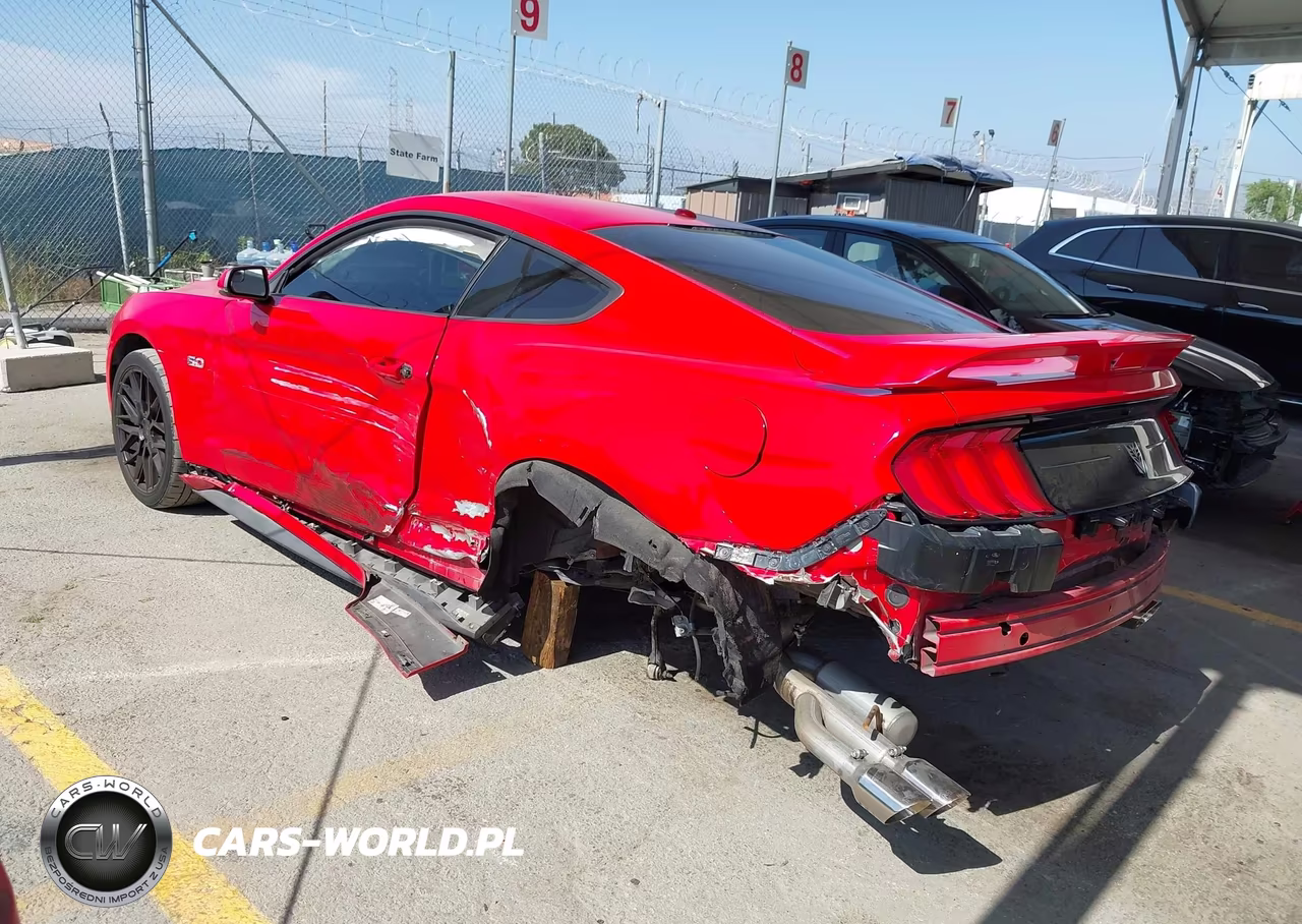2019 Ford Mustang Gt Premium VIN:1FA6P8CF8K5159218 - 3