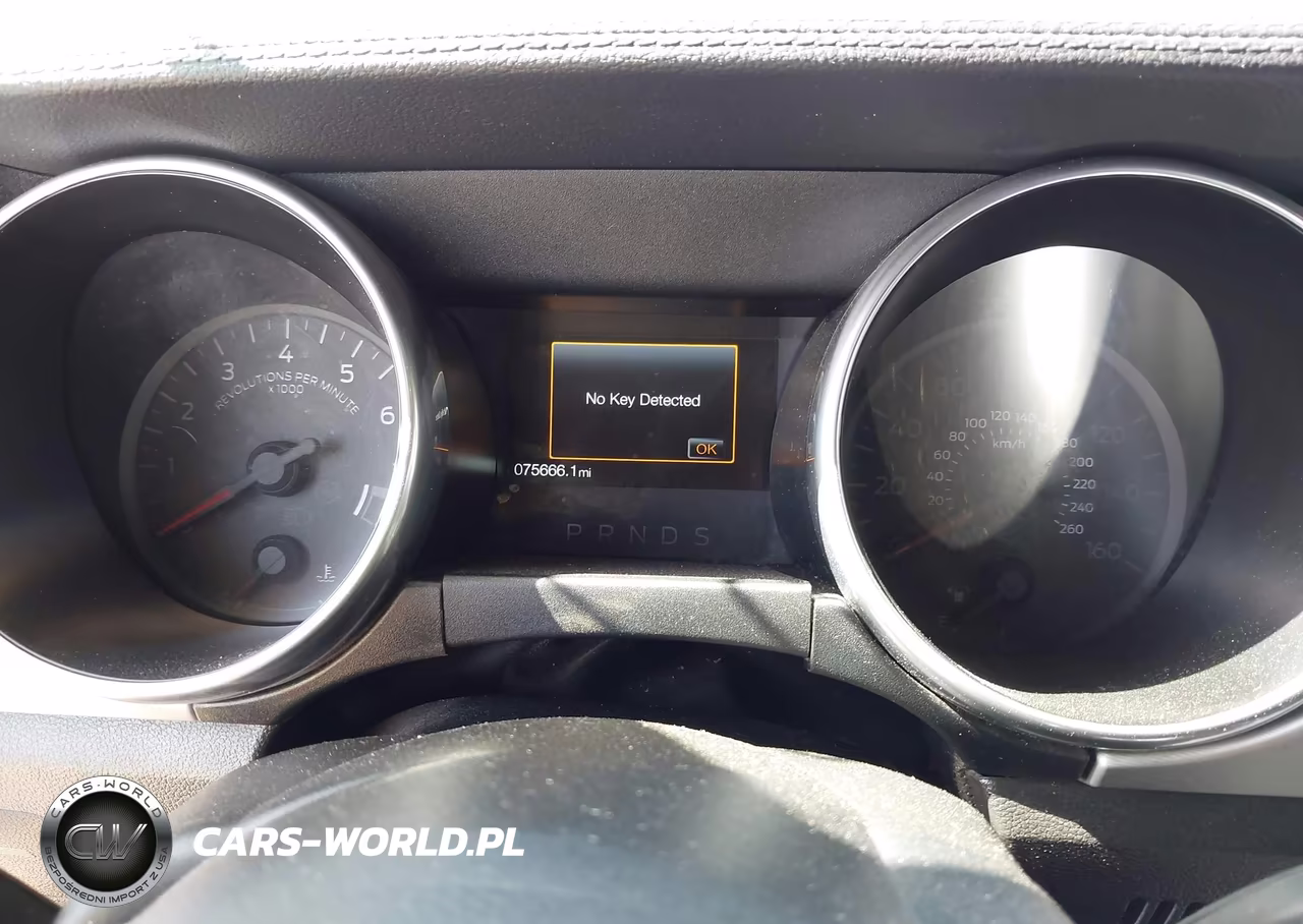 2019 Ford Mustang Gt Premium VIN:1FA6P8CF8K5159218 - 7