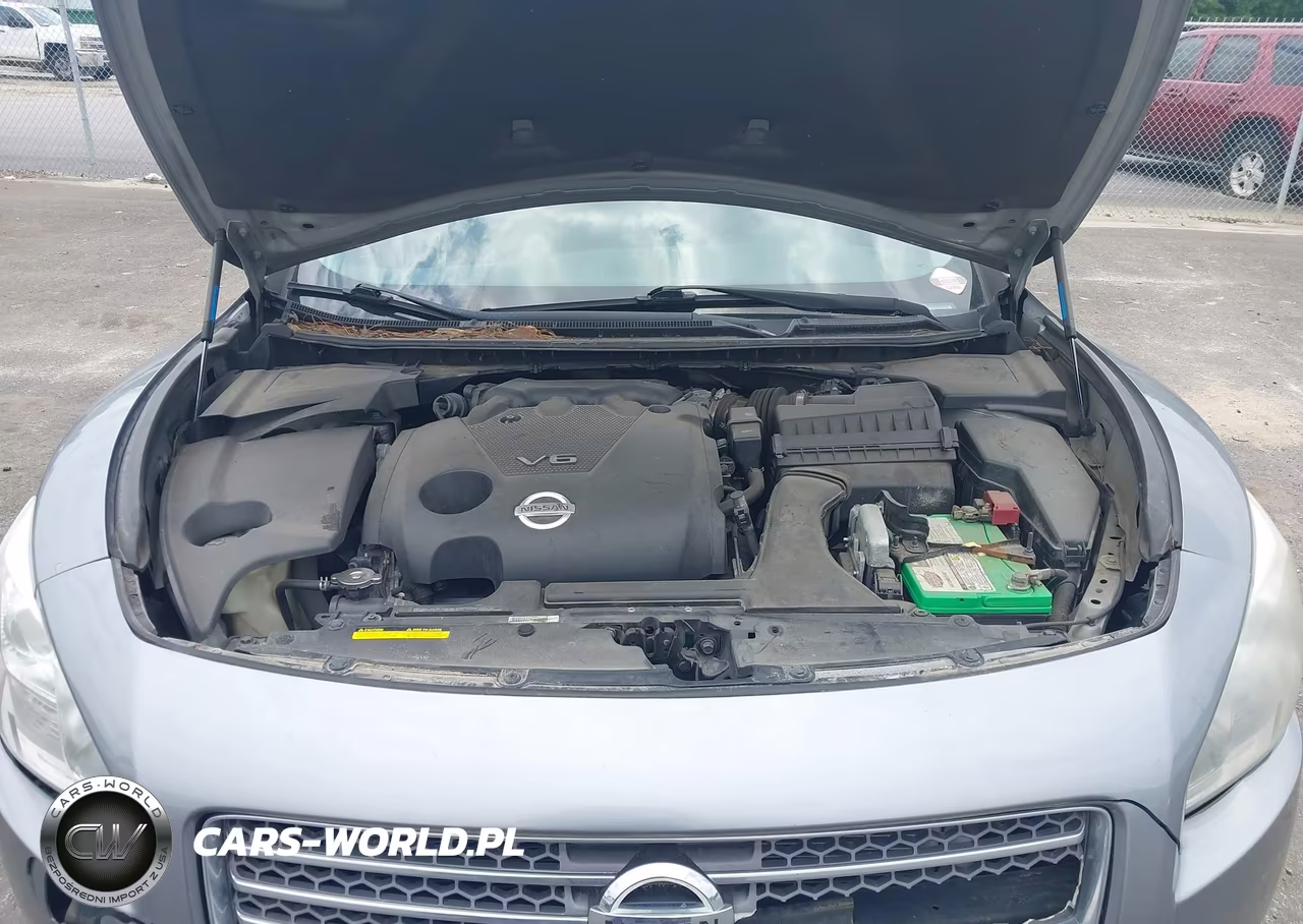 2009 Nissan Maxima Sport VIN:1N4AA51E89C857273 - 10