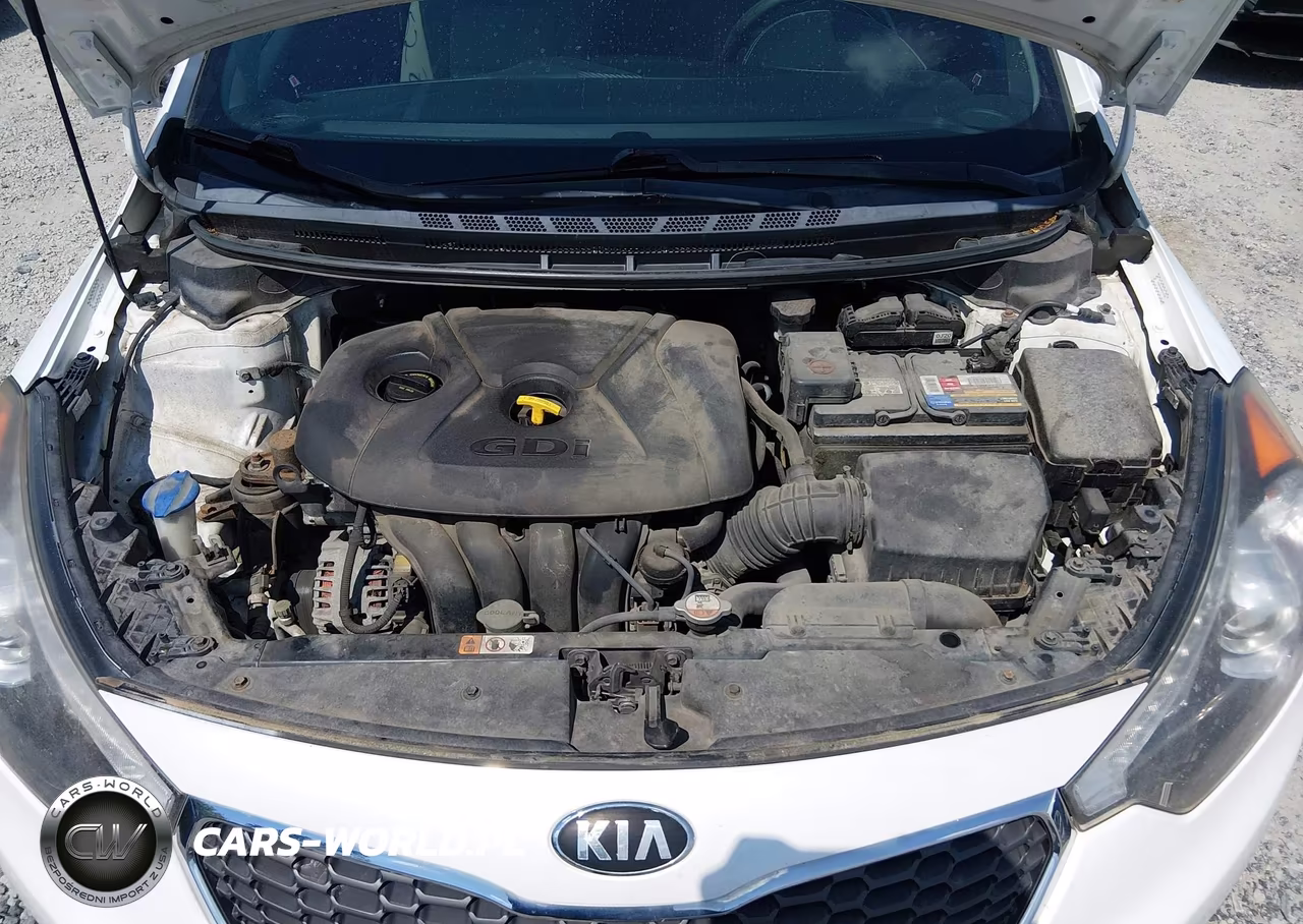 2014 Kia Forte Ex VIN:KNAFX4A80E5122446 - 10