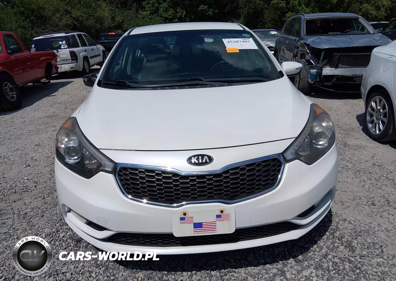 2014 Kia Forte Ex VIN:KNAFX4A80E5122446 - 12