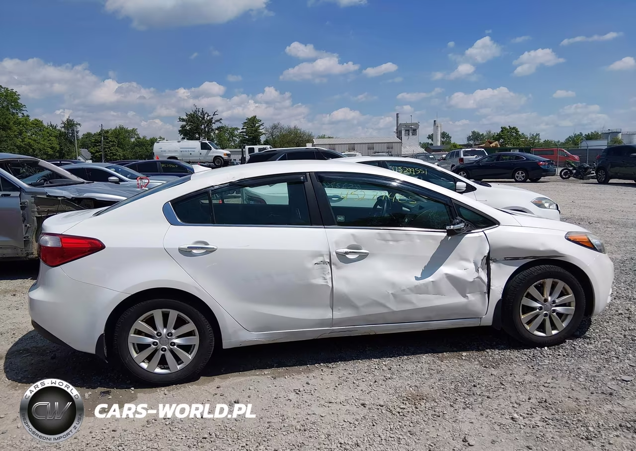2014 Kia Forte Ex VIN:KNAFX4A80E5122446 - 13