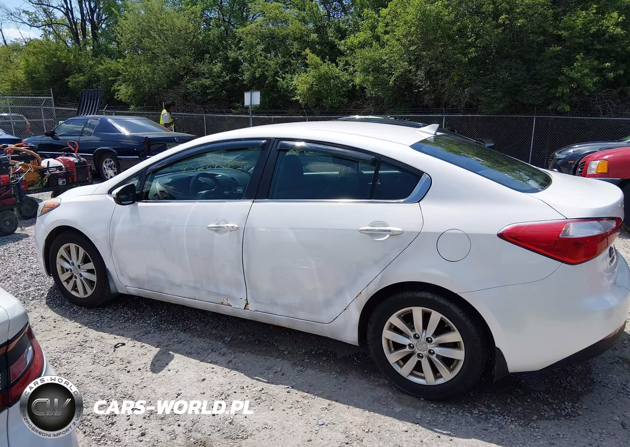 2014 Kia Forte Ex VIN:KNAFX4A80E5122446 - 14