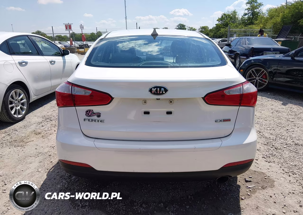 2014 Kia Forte Ex VIN:KNAFX4A80E5122446 - 16