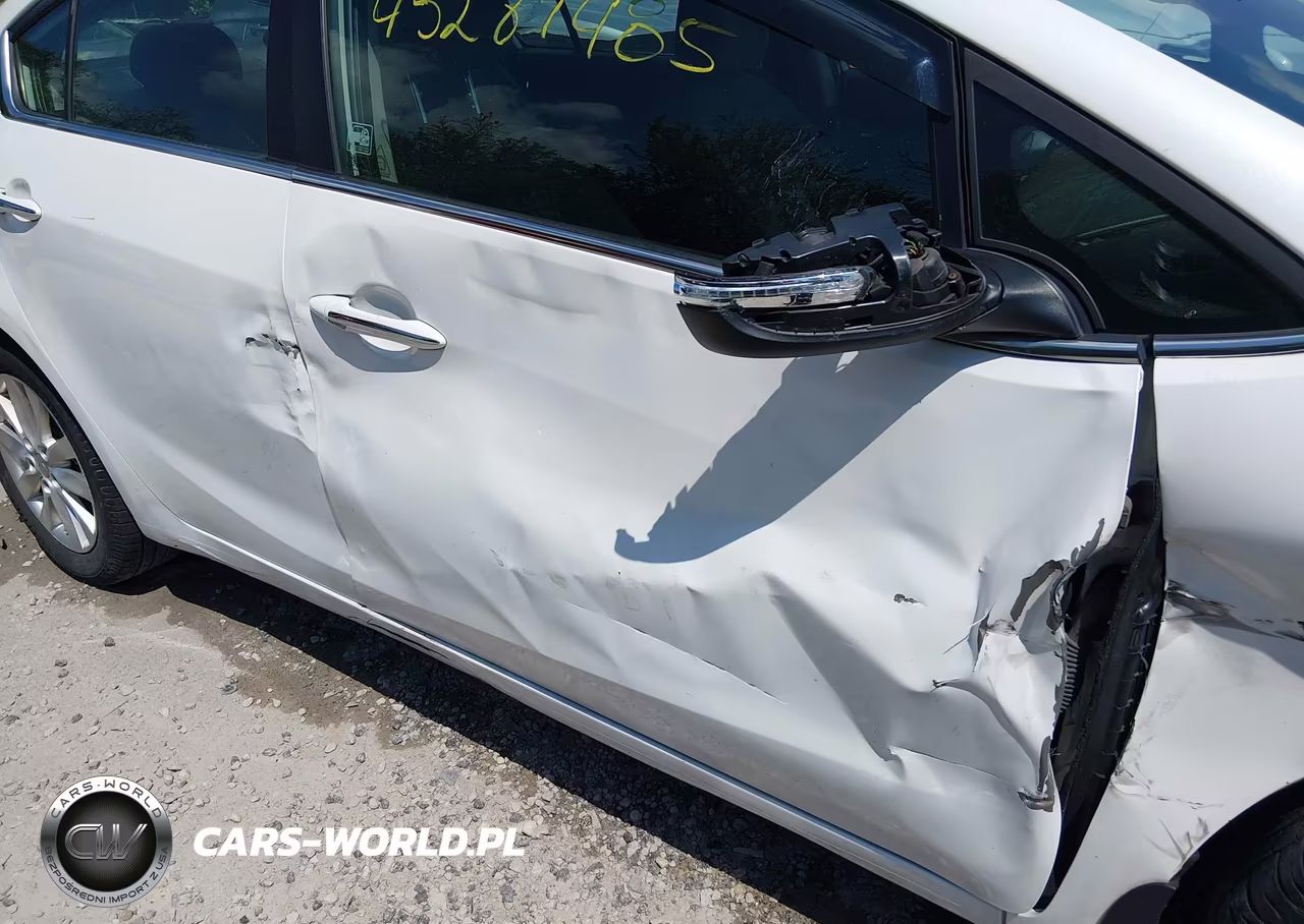 2014 Kia Forte Ex VIN:KNAFX4A80E5122446 - 17