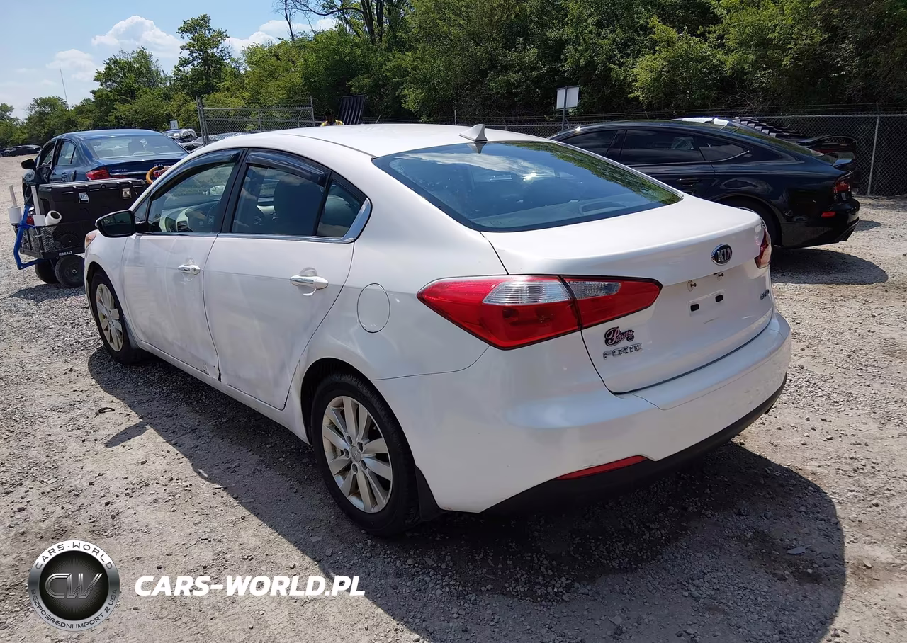 2014 Kia Forte Ex VIN:KNAFX4A80E5122446 - 3