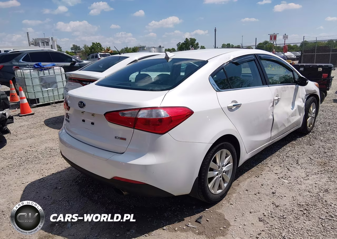 2014 Kia Forte Ex VIN:KNAFX4A80E5122446 - 4
