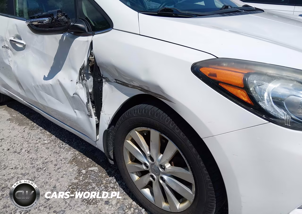 2014 Kia Forte Ex VIN:KNAFX4A80E5122446 - 6