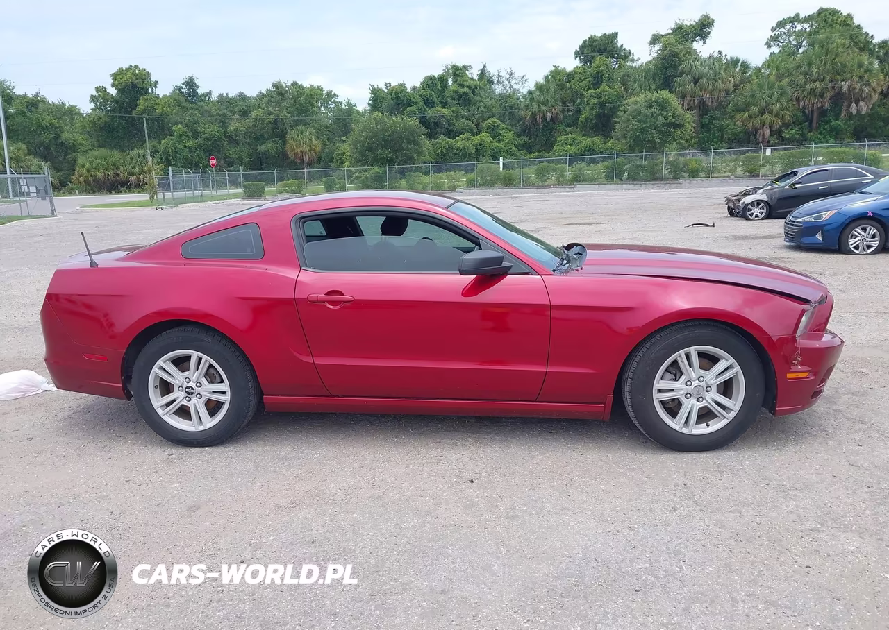 2014 Ford Mustang V6 VIN:1ZVBP8AM8E5269584 - 13
