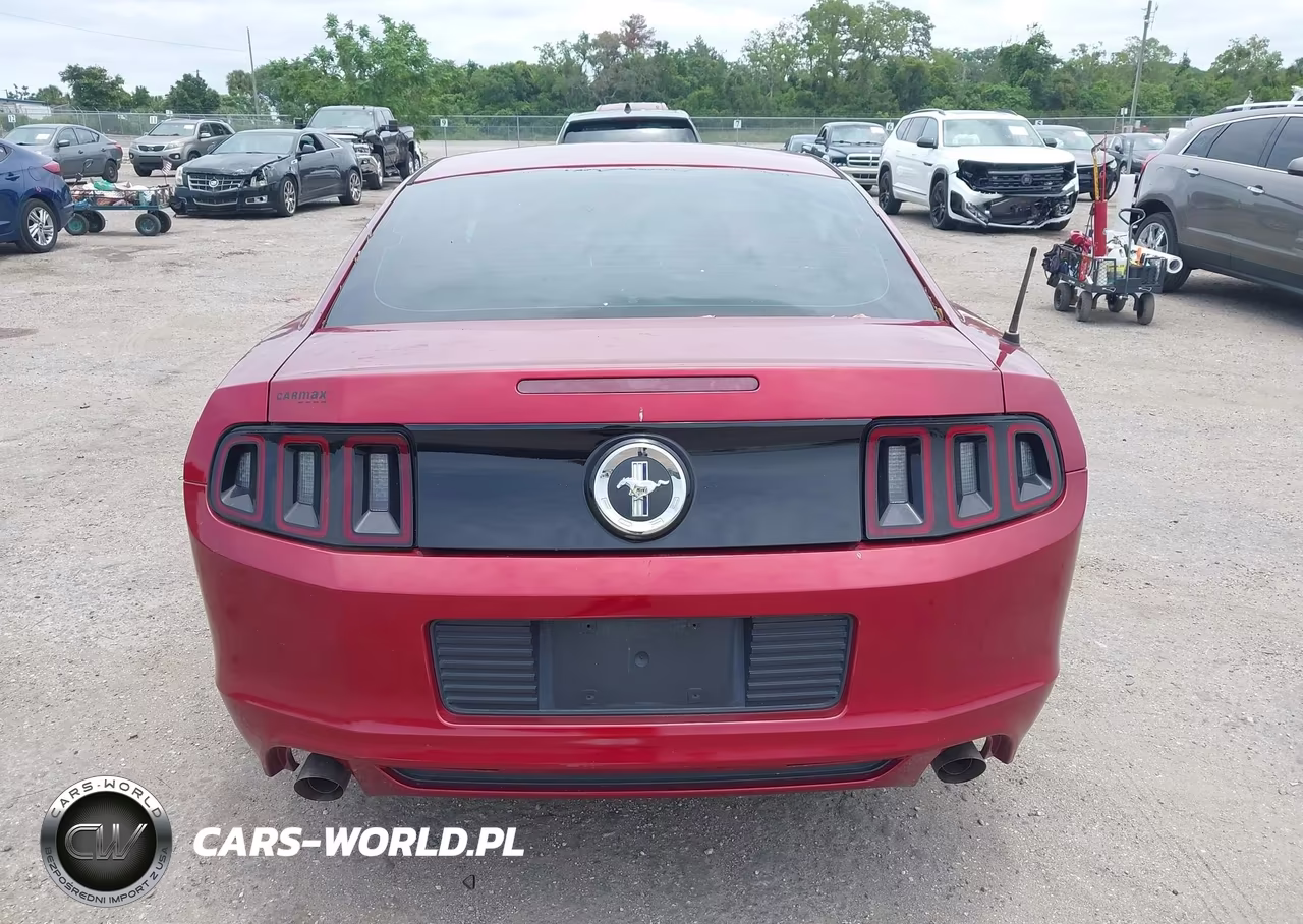 2014 Ford Mustang V6 VIN:1ZVBP8AM8E5269584 - 16