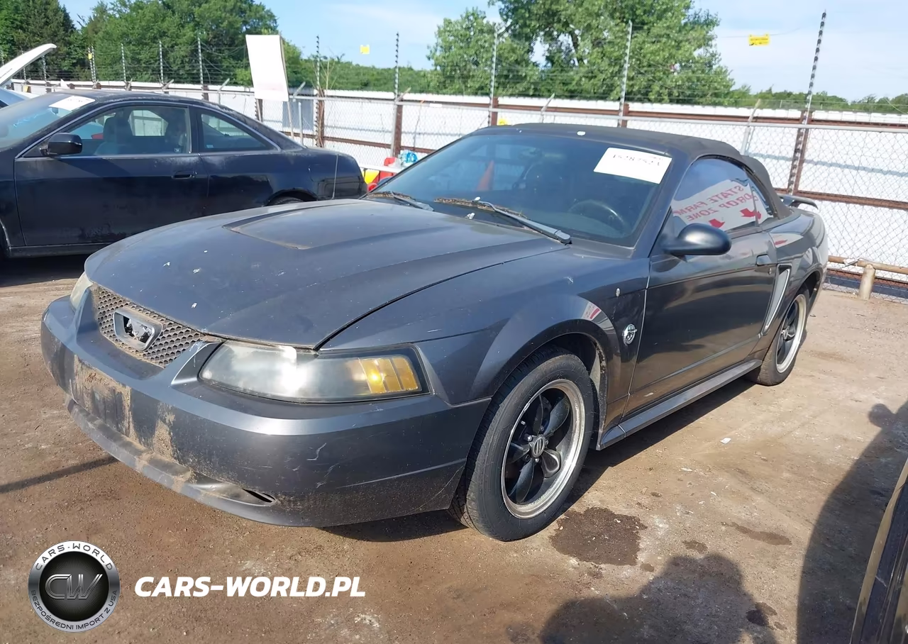 2004 Ford Mustang VIN:1FAFP44684F242507 - 2