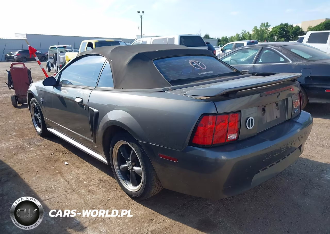 2004 Ford Mustang VIN:1FAFP44684F242507 - 3
