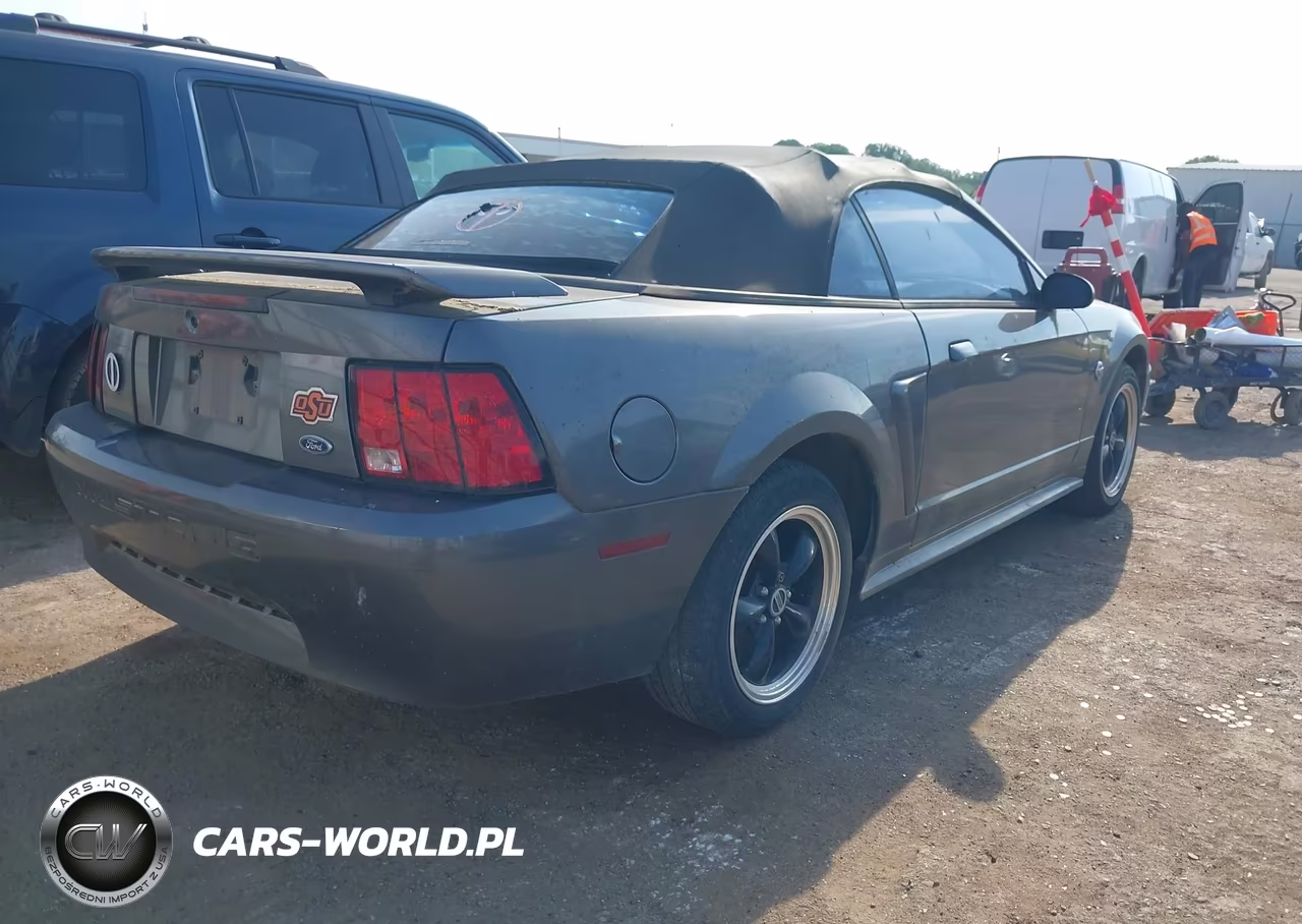 2004 Ford Mustang VIN:1FAFP44684F242507 - 4