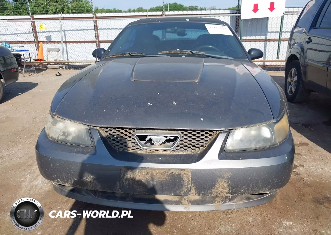 2004 Ford Mustang VIN:1FAFP44684F242507 - 6