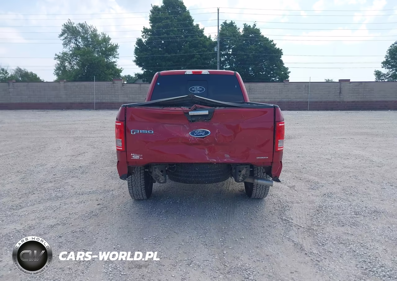 2016 Ford F-150 Xlt VIN:1FTFW1EF5GKE73340 - 17