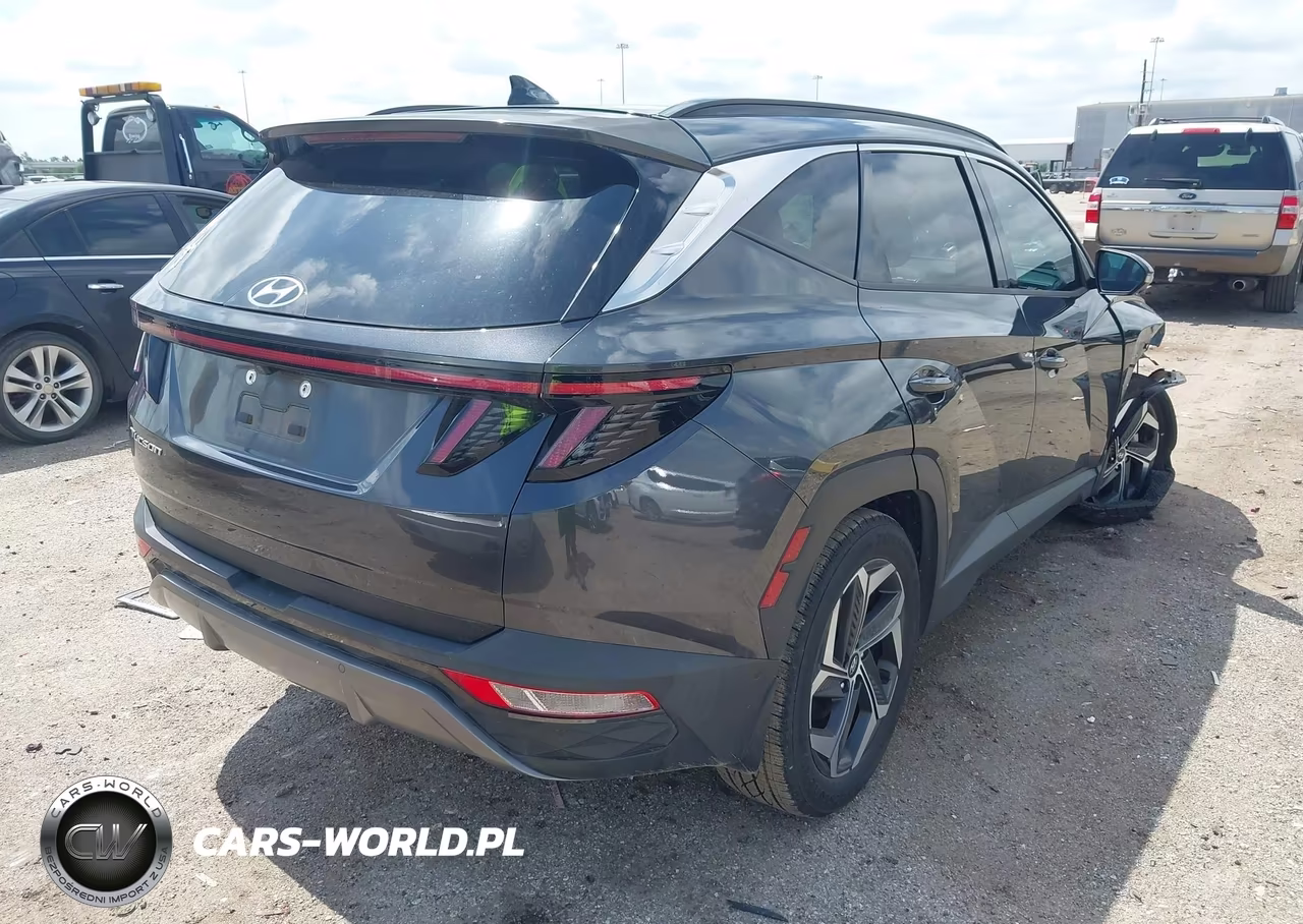 2022 Hyundai Tucson Limited VIN:5NMJE3AE0NH054939 - 4