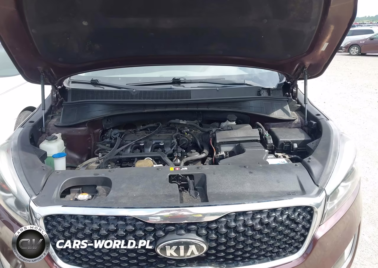 2016 Kia Sorento 3.3L Ex VIN:5XYPH4A52GG129144 - 10