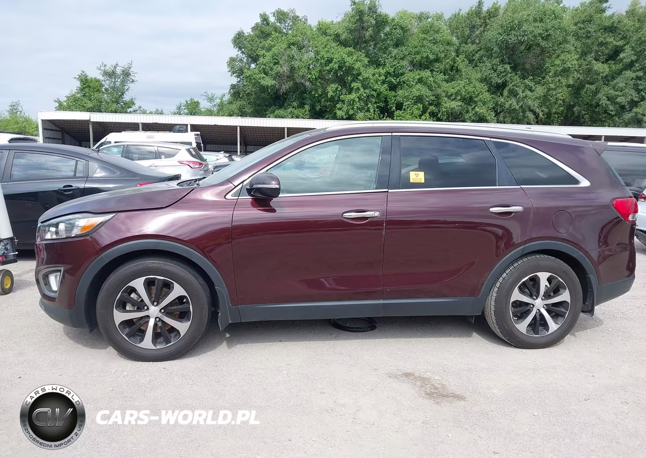2016 Kia Sorento 3.3L Ex VIN:5XYPH4A52GG129144 - 14