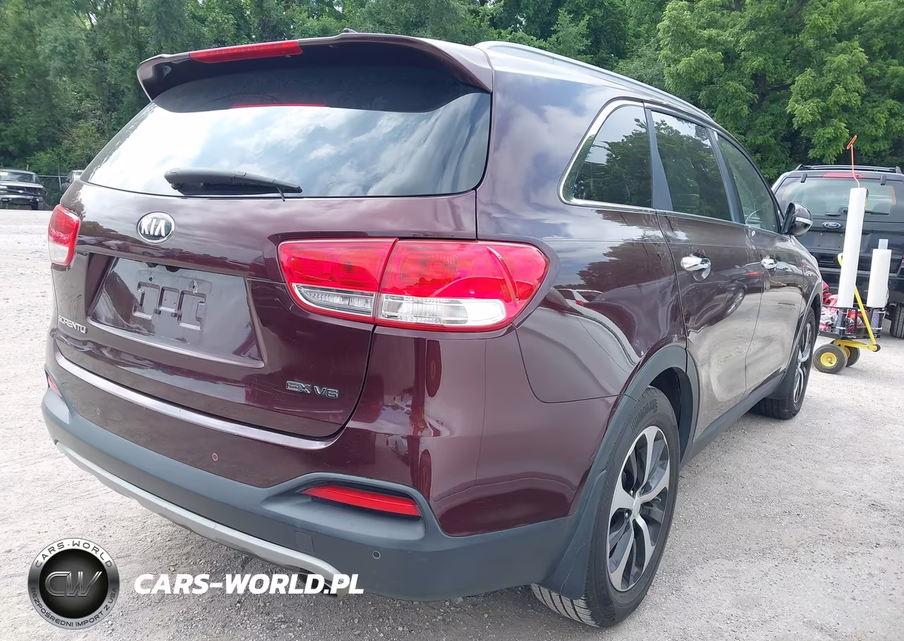 2016 Kia Sorento 3.3L Ex VIN:5XYPH4A52GG129144 - 4