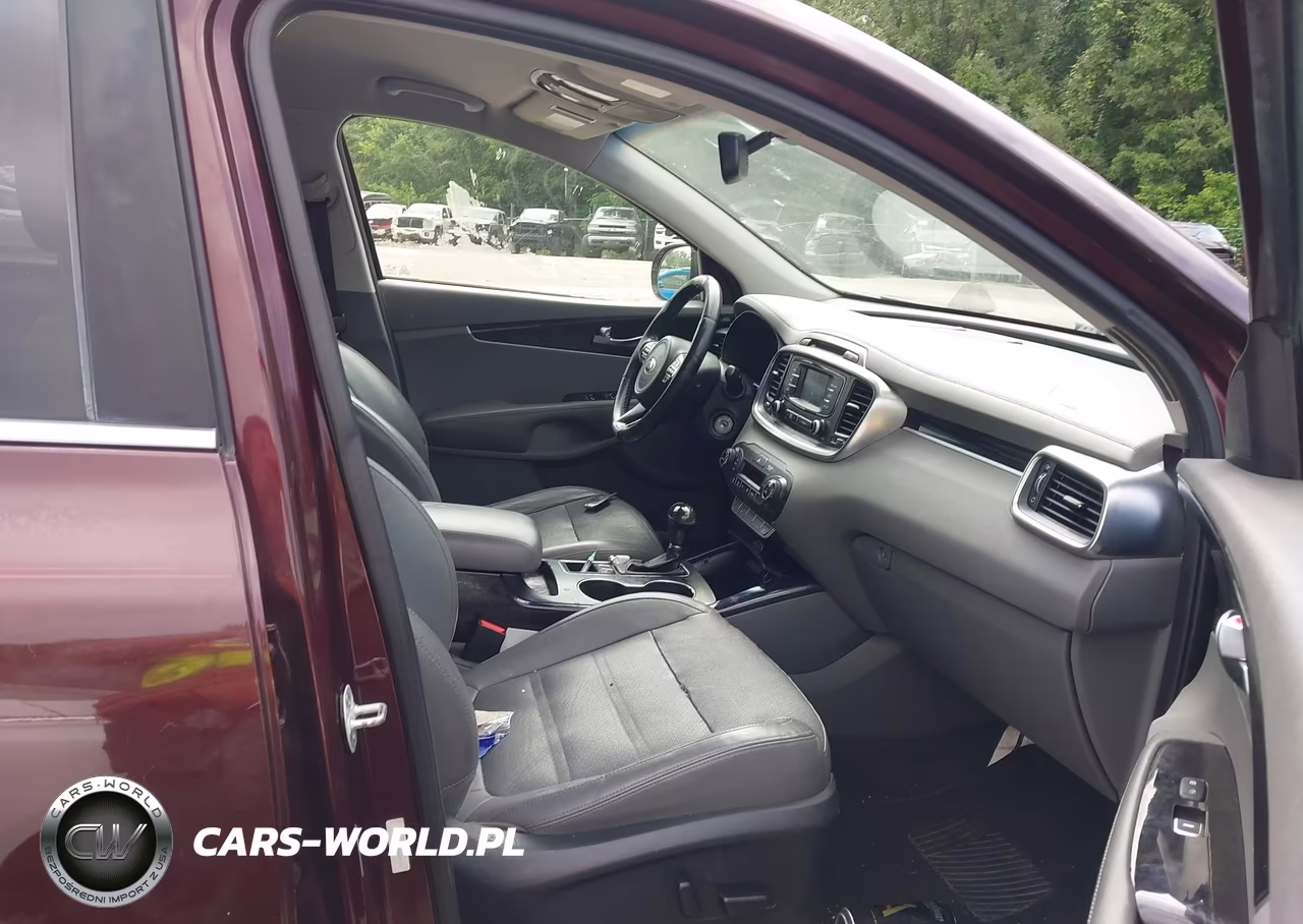 2016 Kia Sorento 3.3L Ex VIN:5XYPH4A52GG129144 - 5