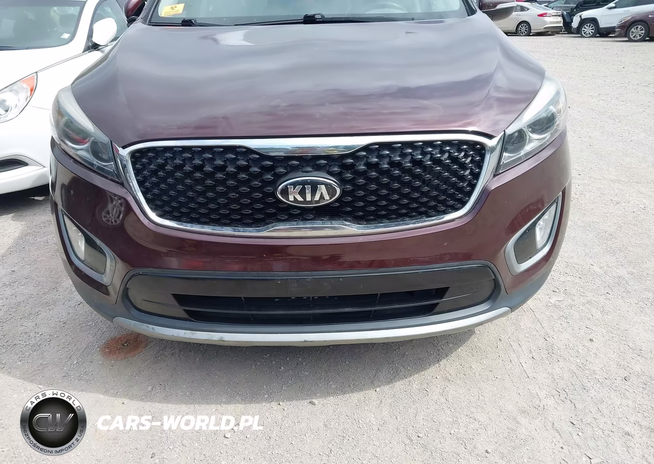 2016 Kia Sorento 3.3L Ex VIN:5XYPH4A52GG129144 - 6