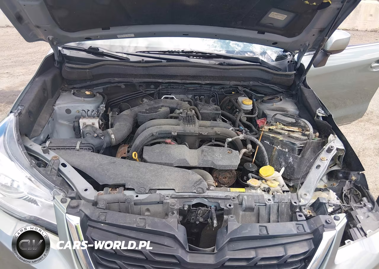 2017 Subaru Forester 2.5I Limited VIN:JF2SJAJC0HH400997 - 10