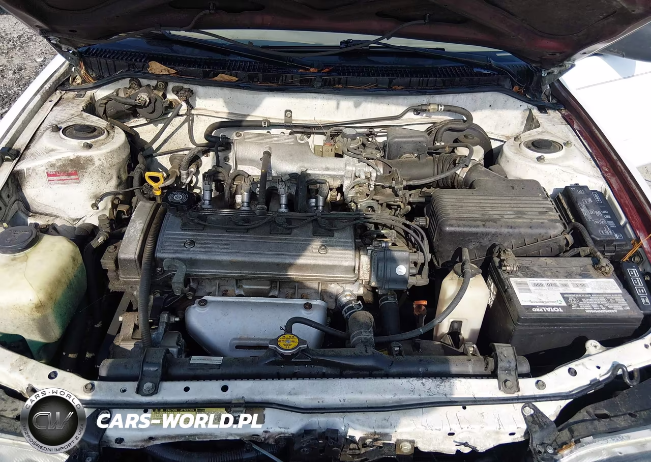 1997 Toyota Corolla Ce VIN:1NXBA02E2VZ570267 - 10