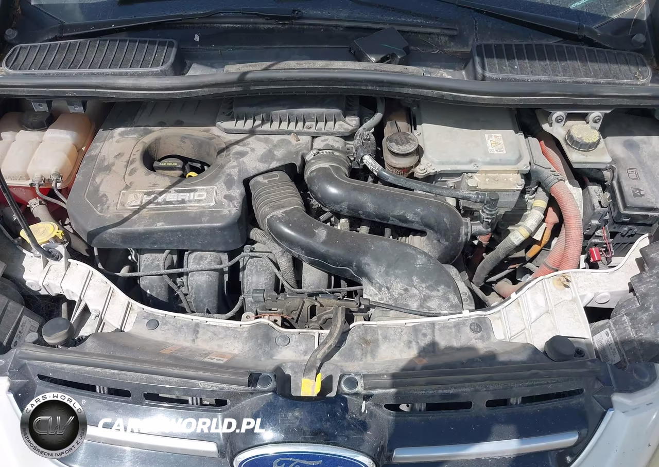 2013 Ford C-Max Hybrid Sel VIN:1FADP5BUXDL544316 - 10