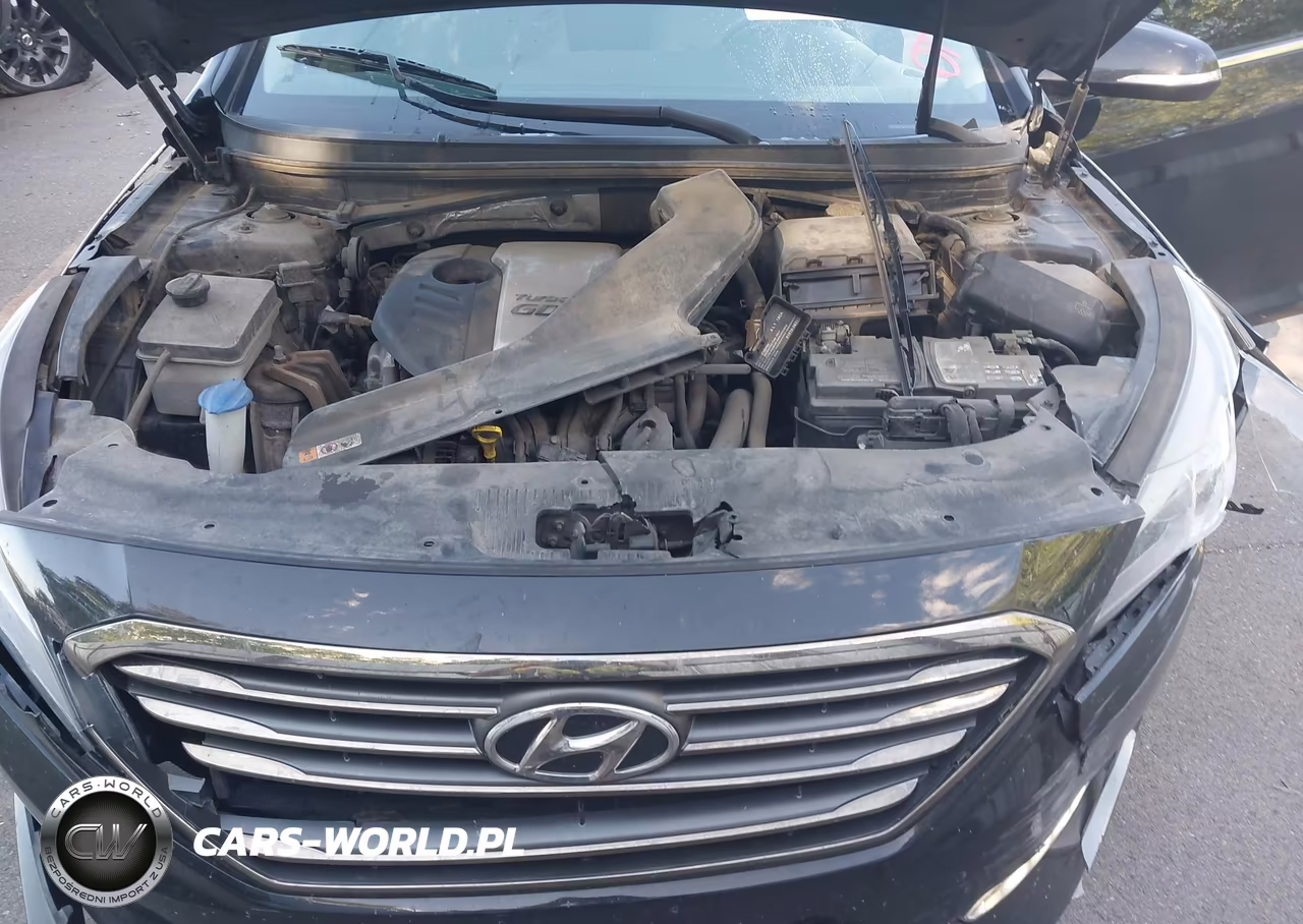 2016 Hyundai Sonata Eco VIN:5NPE24AA5GH399824 - 10