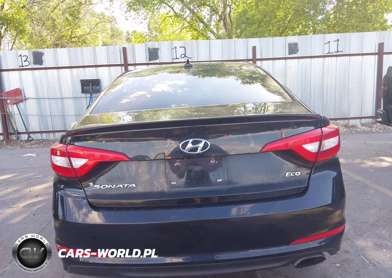 2016 Hyundai Sonata Eco VIN:5NPE24AA5GH399824 - 16