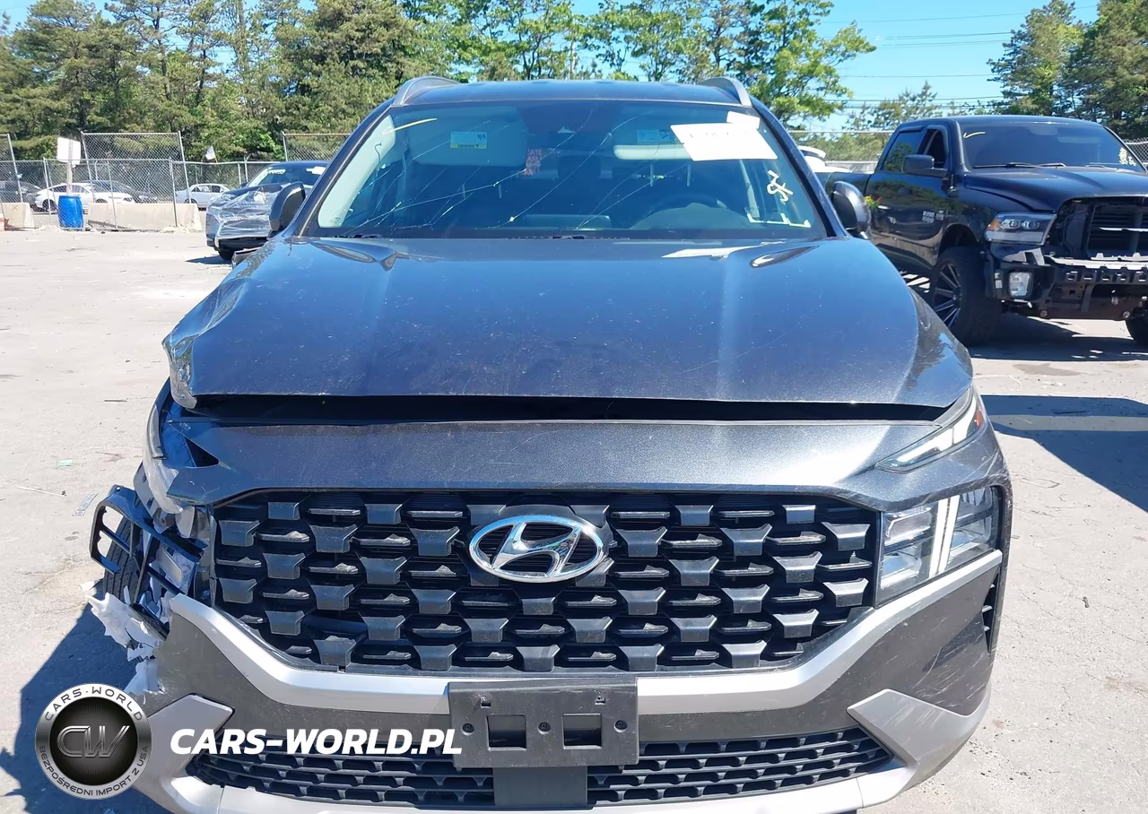 2023 Hyundai Santa Fe Sel VIN:5NMS2DAJXPH622701 - 12