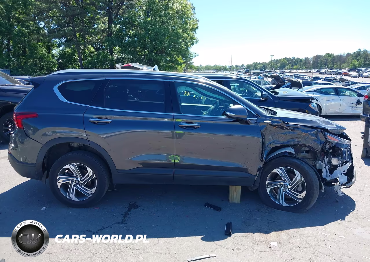 2023 Hyundai Santa Fe Sel VIN:5NMS2DAJXPH622701 - 13