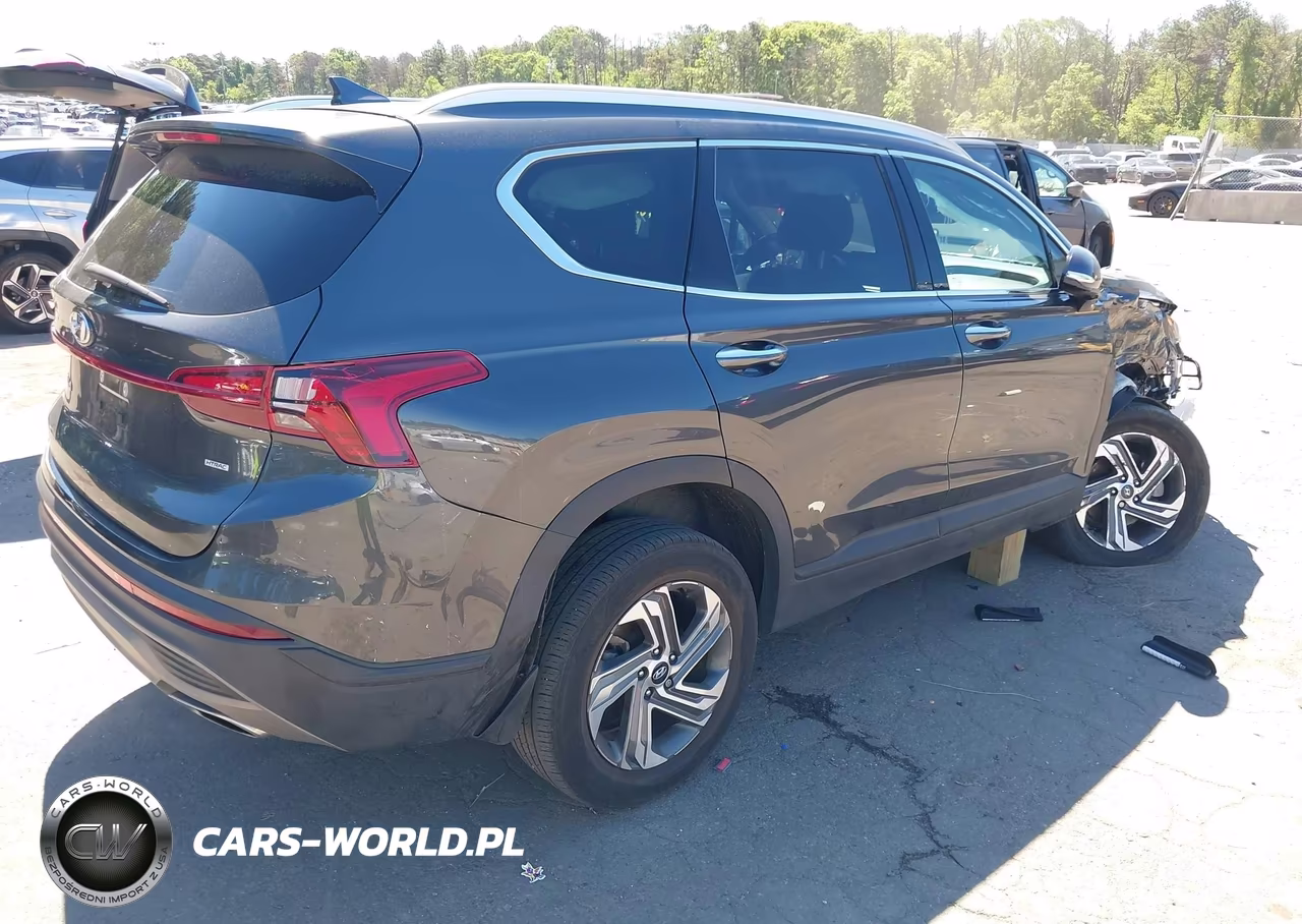 2023 Hyundai Santa Fe Sel VIN:5NMS2DAJXPH622701 - 4