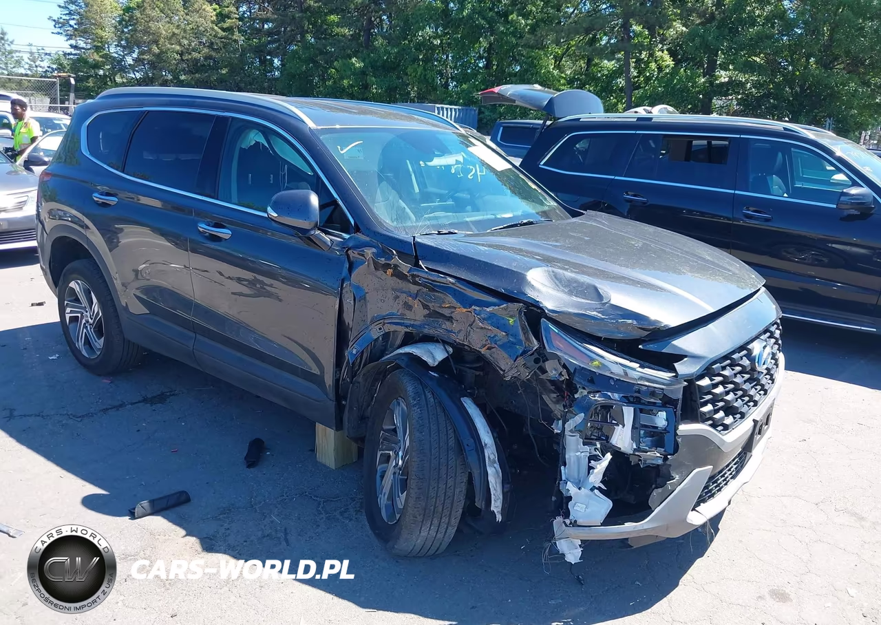2023 Hyundai Santa Fe Sel VIN:5NMS2DAJXPH622701 - 6