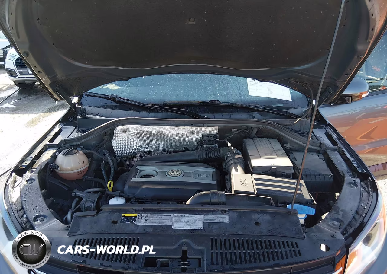 2015 Volkswagen Tiguan S VIN:WVGAV7AXXFW596648 - 10