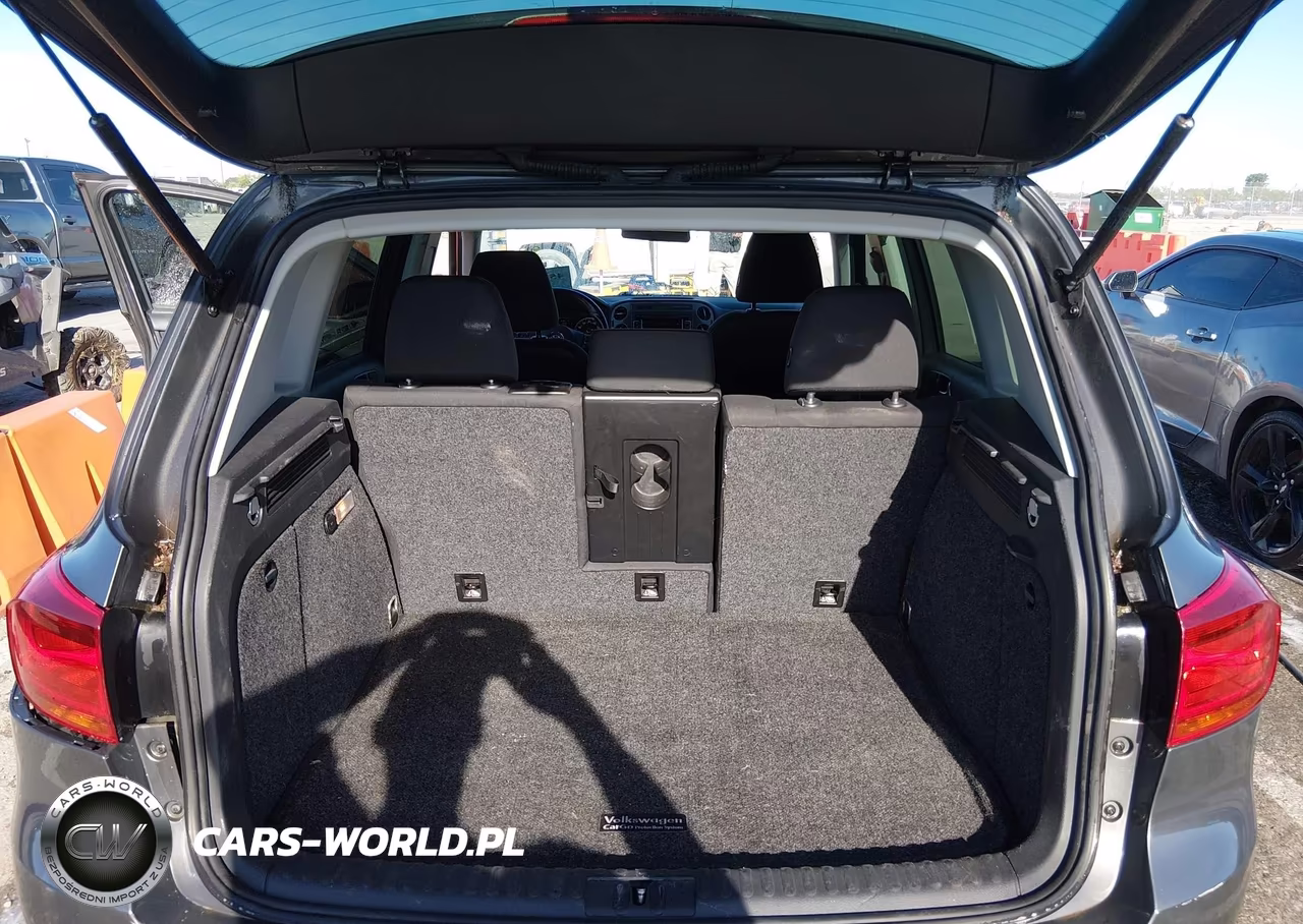 2015 Volkswagen Tiguan S VIN:WVGAV7AXXFW596648 - 17