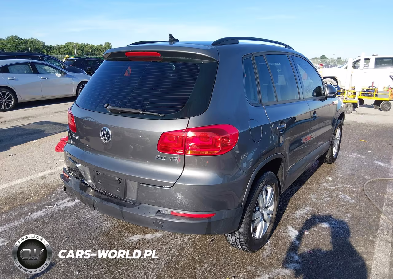 2015 Volkswagen Tiguan S VIN:WVGAV7AXXFW596648 - 19
