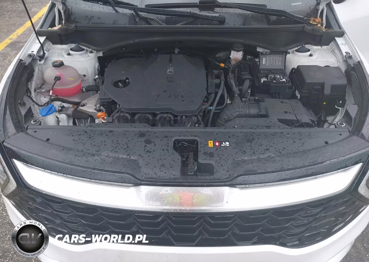 2024 Kia Sportage Sx VIN:5XYK43DF2RG203024 - 10