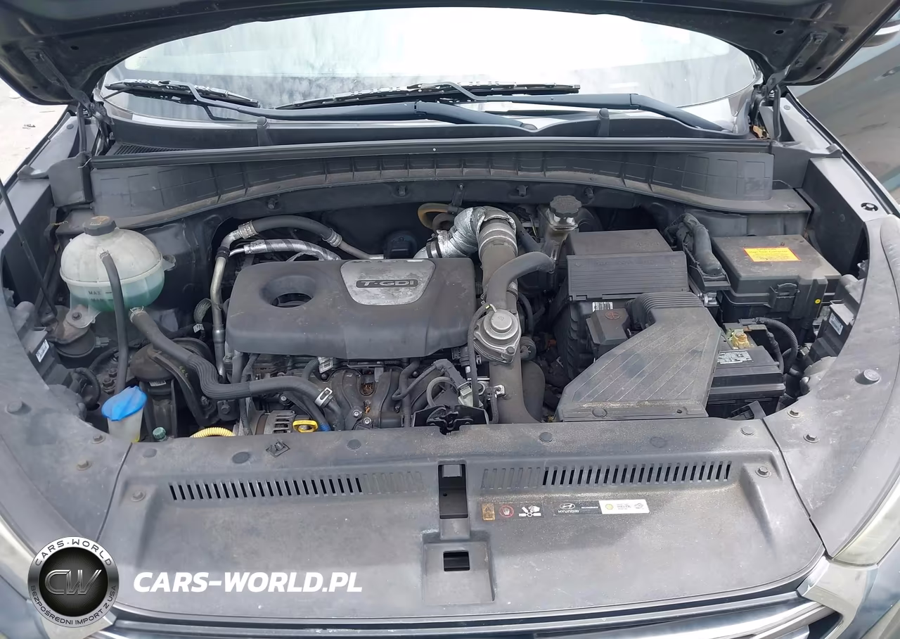 2016 Hyundai Tucson Limited VIN:KM8J33A24GU222147 - 10