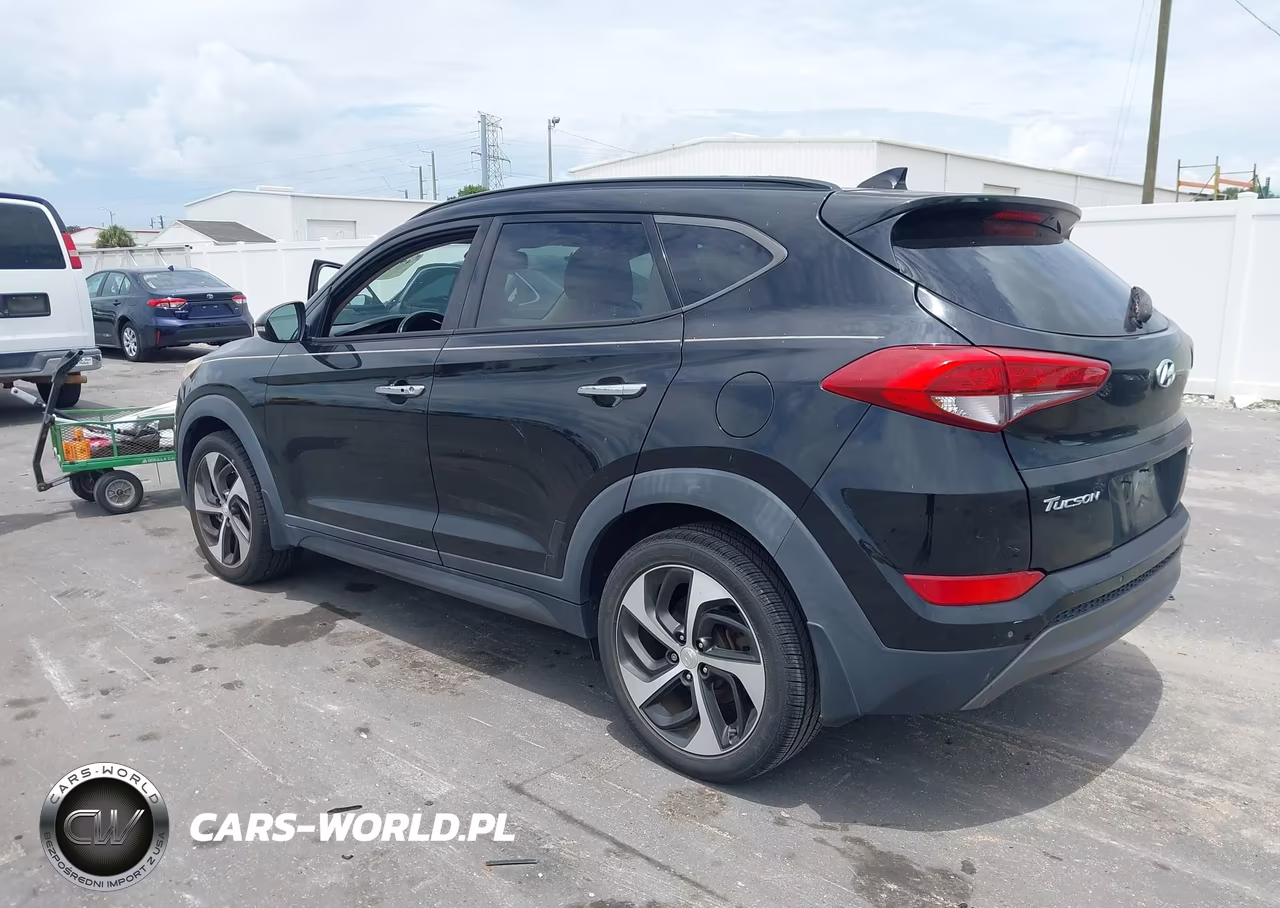 2016 Hyundai Tucson Limited VIN:KM8J33A24GU222147 - 3