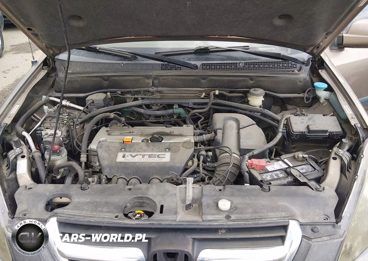2004 Honda Cr-V Ex VIN:JHLRD78804C001509 - 10