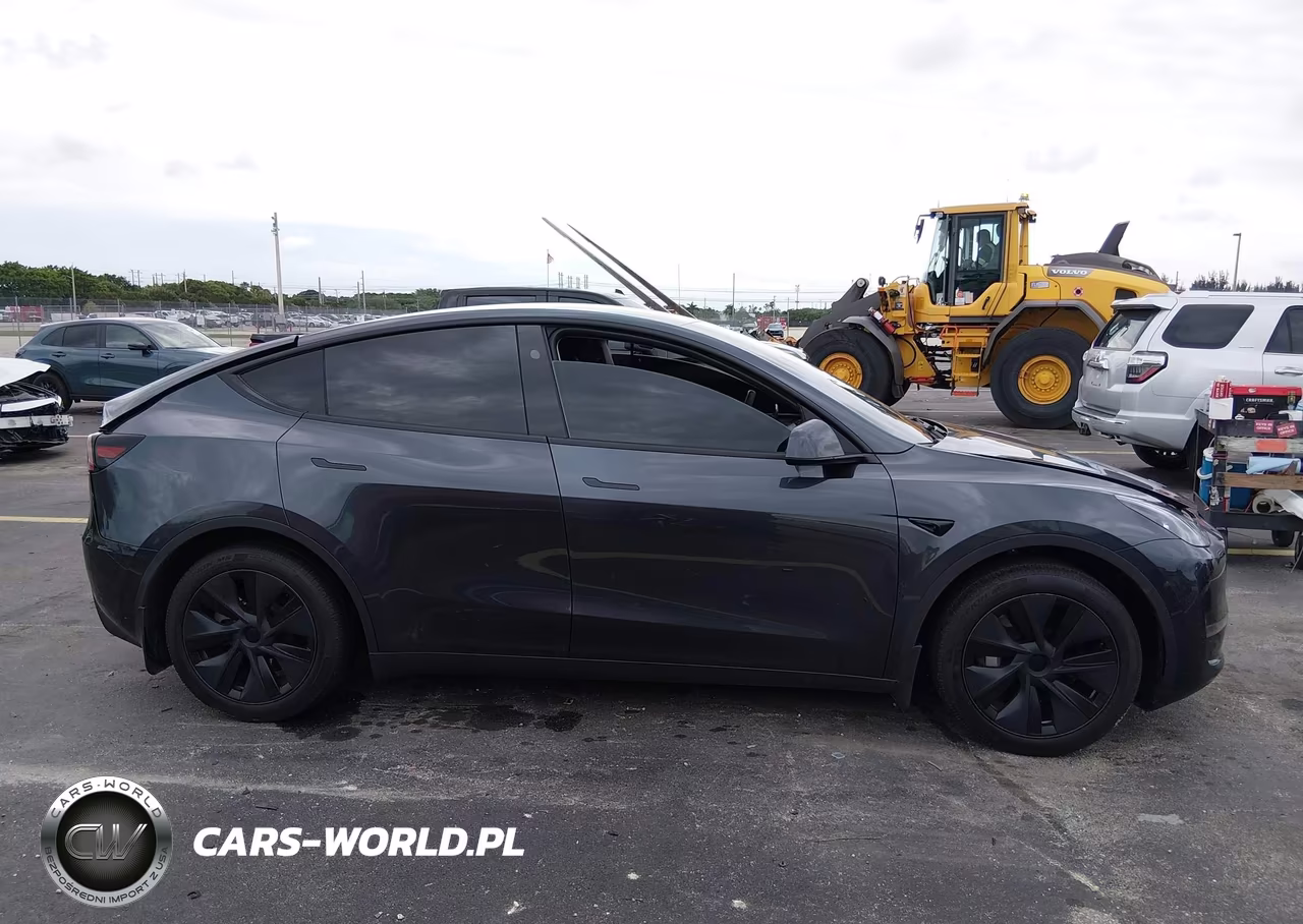 2024 Tesla Model Y VIN:7SAYGDED5RF159714 - 12