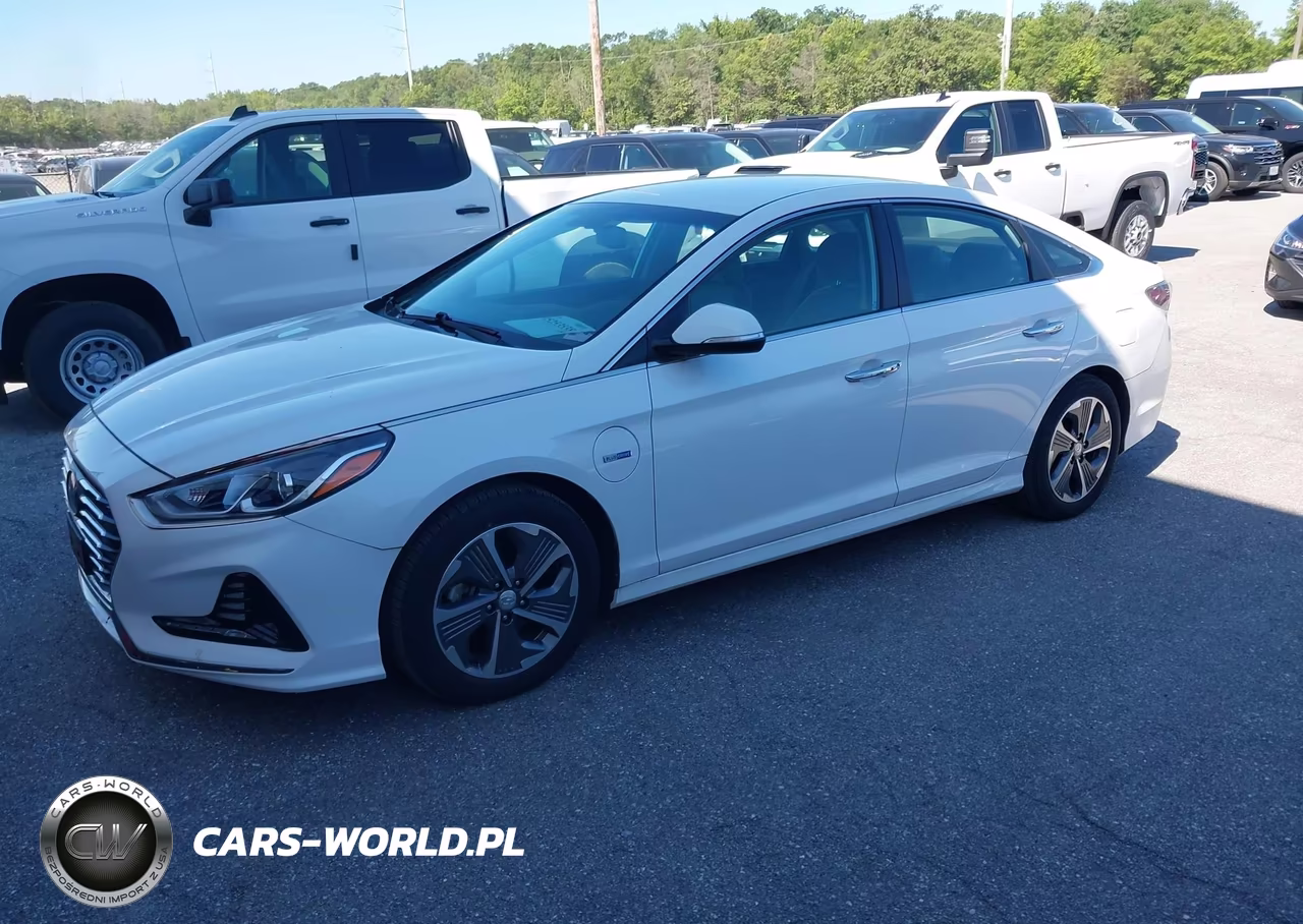2019 Hyundai Sonata Plug-In Hybrid VIN:KMHE14L29KA091396 - 2